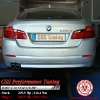 BMW F1x 525d 218 HP_1