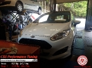 Ford Fiesta 1.6 TDCI 95 HP